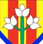 Avatar de l’usuari